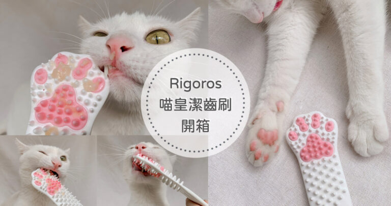 【貓咪刷牙好物】Rigoros喵皇潔齒刷｜幫貓咪潔牙不再是場戰爭