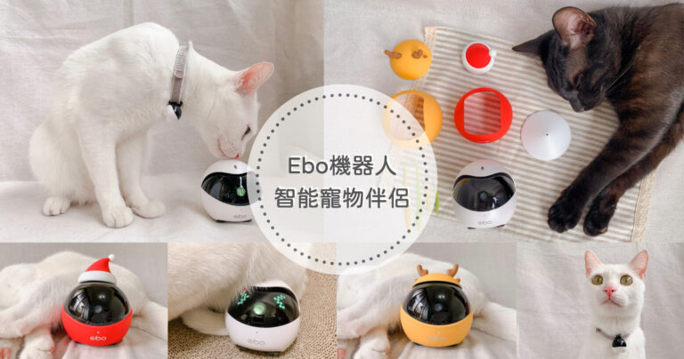 【智慧貓咪玩具】Ebo智能寵物伴侶｜即時互動與貼心陪伴｜豐富貓咪的每1天