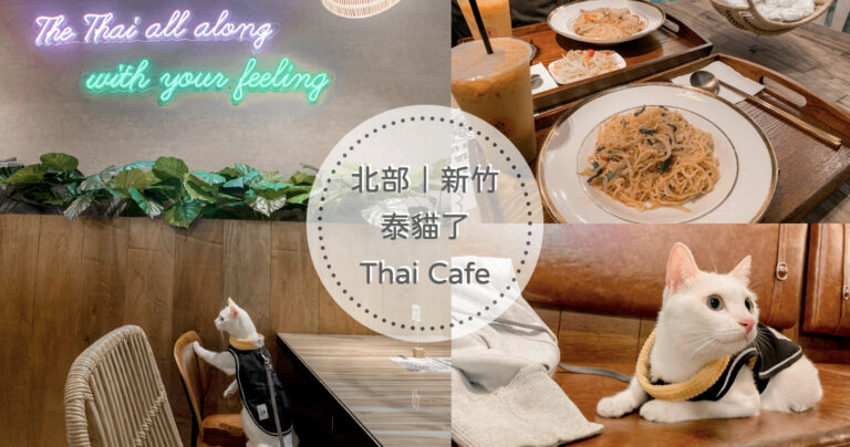 【新竹寵物友善餐廳】泰貓了Thai Cafe｜CP值超高平價泰式料理｜貓咪主題餐廳
