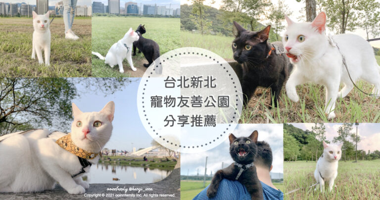 【2024寵物友善地圖】一鍵收藏好吃好玩景點！10個台北寵物友善公園分享