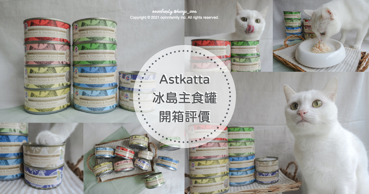 Astkatta冰島健康主食罐 開箱評價 貓咪低脂主食罐推薦