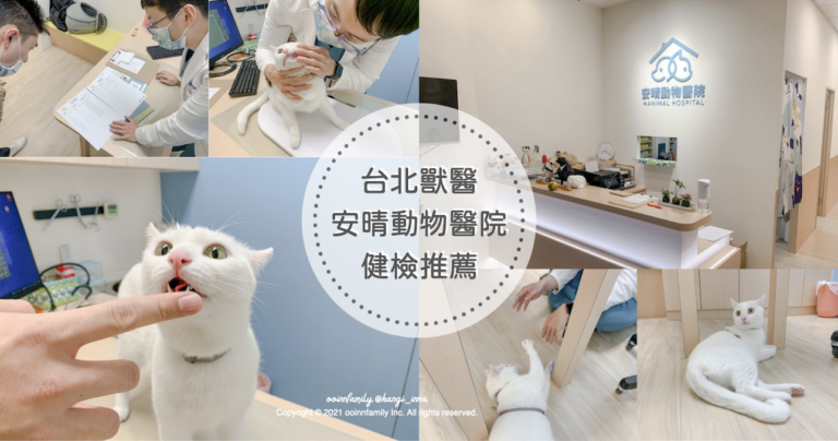 安晴動物醫院評價 台北獸醫 台北動物醫院 貓咪健檢推薦 狗狗健檢推薦