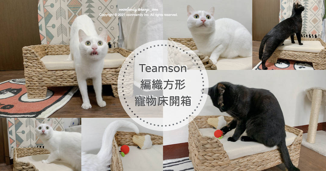 teamson 編織方形寵物床 寵物床推薦 貓窩推薦 狗窩推薦