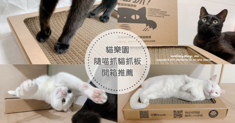 【芋圓家開箱】貓咪愛抓沙發怎麼辦？貓樂園隨喵抓貓抓板開箱評價