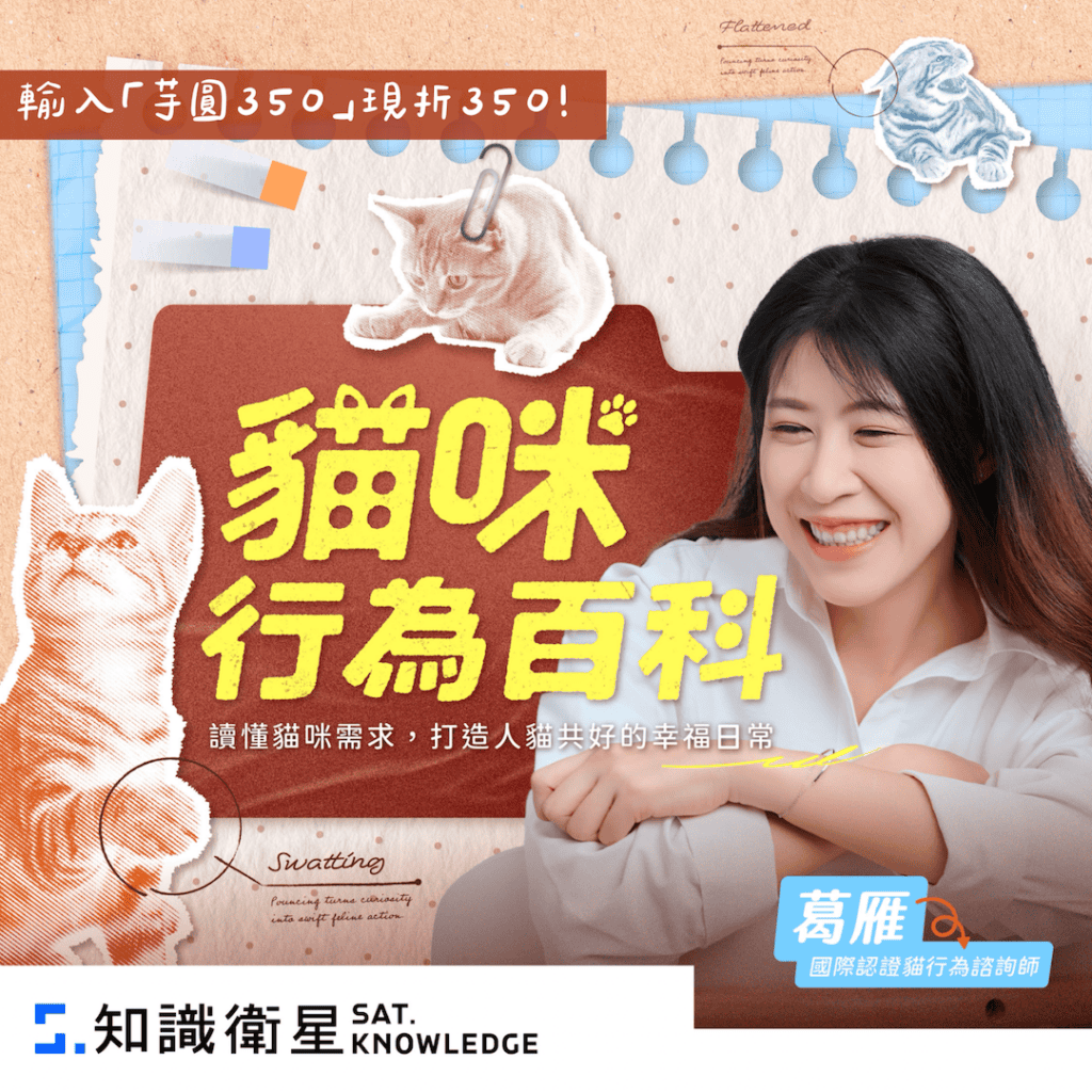 貓談社行為課程諮詢折扣碼打折優惠特價