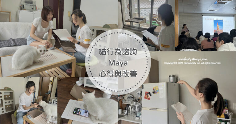 Maya侯慶鴻 貓談社 貓行為諮詢 貓間衝突 多貓家庭