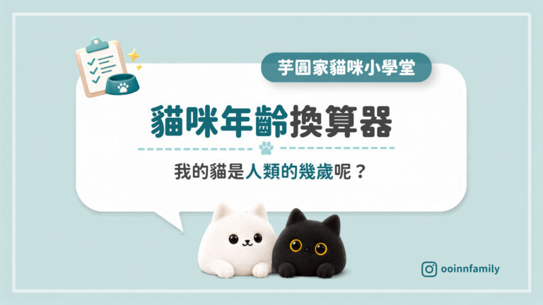 貓咪年齡計算機 換算人類