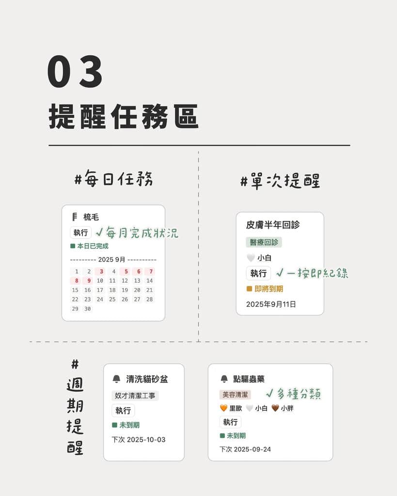 貓咪點驅蟲藥吃藥餵藥提醒